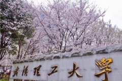 廣東MBA考研調(diào)劑武漢理工大學(xué)有什么條件？