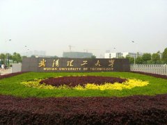 深圳MPA調劑：2021武漢理工大學MPA預調劑信息